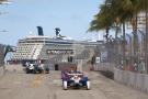 Formel E, 2015, Miami, Vergne, Bird