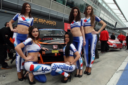 WTCC, 2013, Monza, Gridgirls
