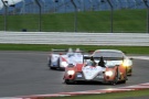 Race Performance