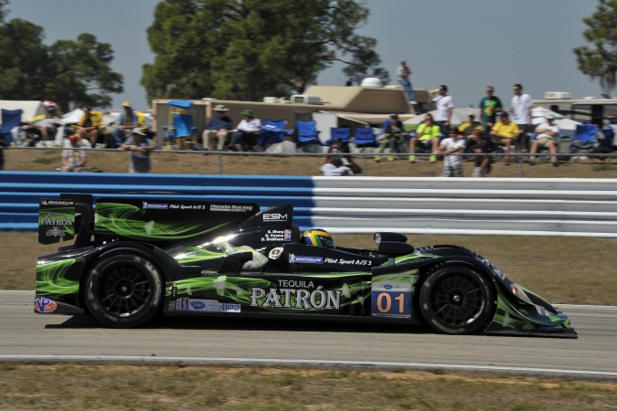 Bild: David Brabham - Extreme Speed Motorsports - Honda ARX-03b