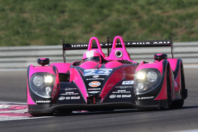 Bild: Guillaume MoreauDominik Kraihamer - Oak Racing - Morgan LMP2 - Judd