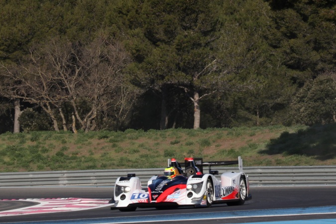 Bild: Pierre KafferGianmaria BruniLuis Perez Companc - Pecom Racing - Oreca 03 - Nissan
