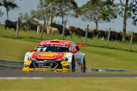 #11 Gaetano Di Mauro – Bassani Racing – Chevrolet Cruze V8 – Brasilianische Stock Car 2019