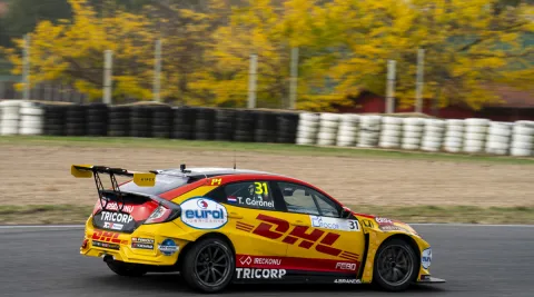 #31 Tom Coronel – Boutsen Ginion Racing – Honda Civic Type R TCR (II) – Europäische TCR Serie 2020