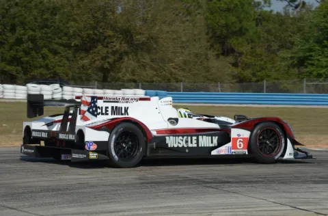 #6 Lucas Luhr – Pickett Racing – Honda ARX-03c – Amerikanische LeMans Serie 2013